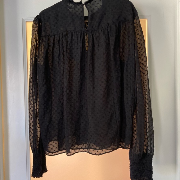 Zara Swiss Dot Sheer Blouse - Picture 8 of 14